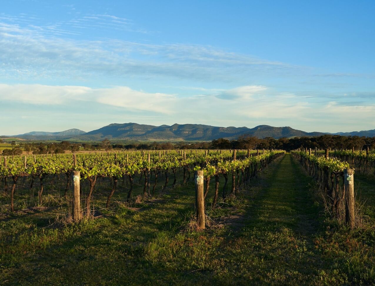 südaustralischer roter Schaumwein